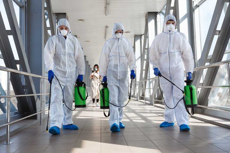 Marburg Virus Outbreak in Tanzania’s Kagera Region: High Mortality and Response Efforts