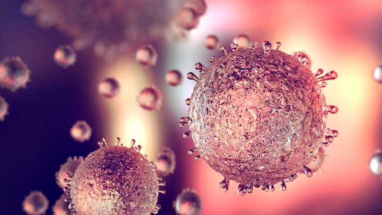 Foot-and-Mouth Disease Outbreak in Hungary: Investigating Bioterrorism Threats and Biosecurity Vulnerabilities