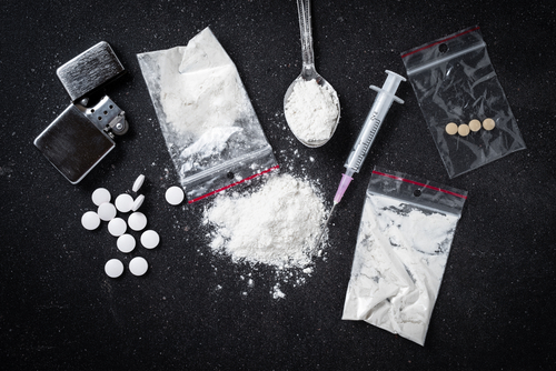 Raccoon Caught with Drug Paraphernalia During Traffic Stop: The Bizarre Arrest of Victoria Vidal