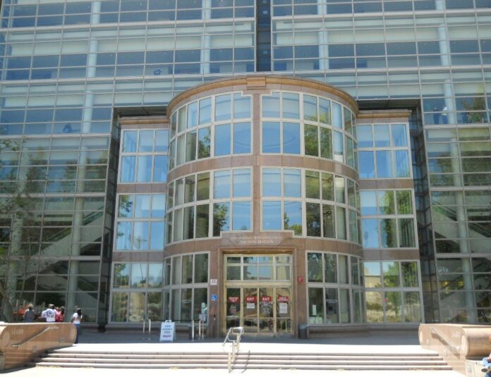 COURTHOUSE CHAOS Erupts As Former Penthouse Model FLEES HEARING ...