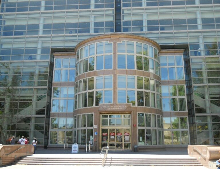 COURTHOUSE CHAOS Erupts As Former Penthouse Model FLEES HEARING