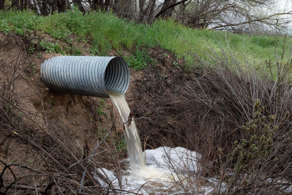 Featured image related to Orange County says fix in place after 342,000-gallon wastewater leak near SeaWorld