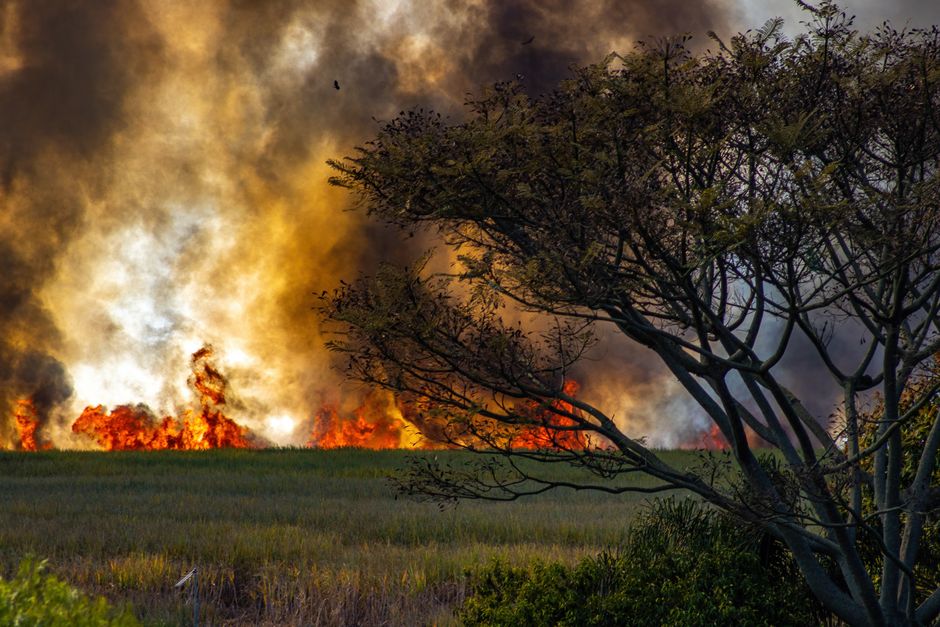 Featured image related to Groveland marsh fire grows to 250 acres, remains 10% contained