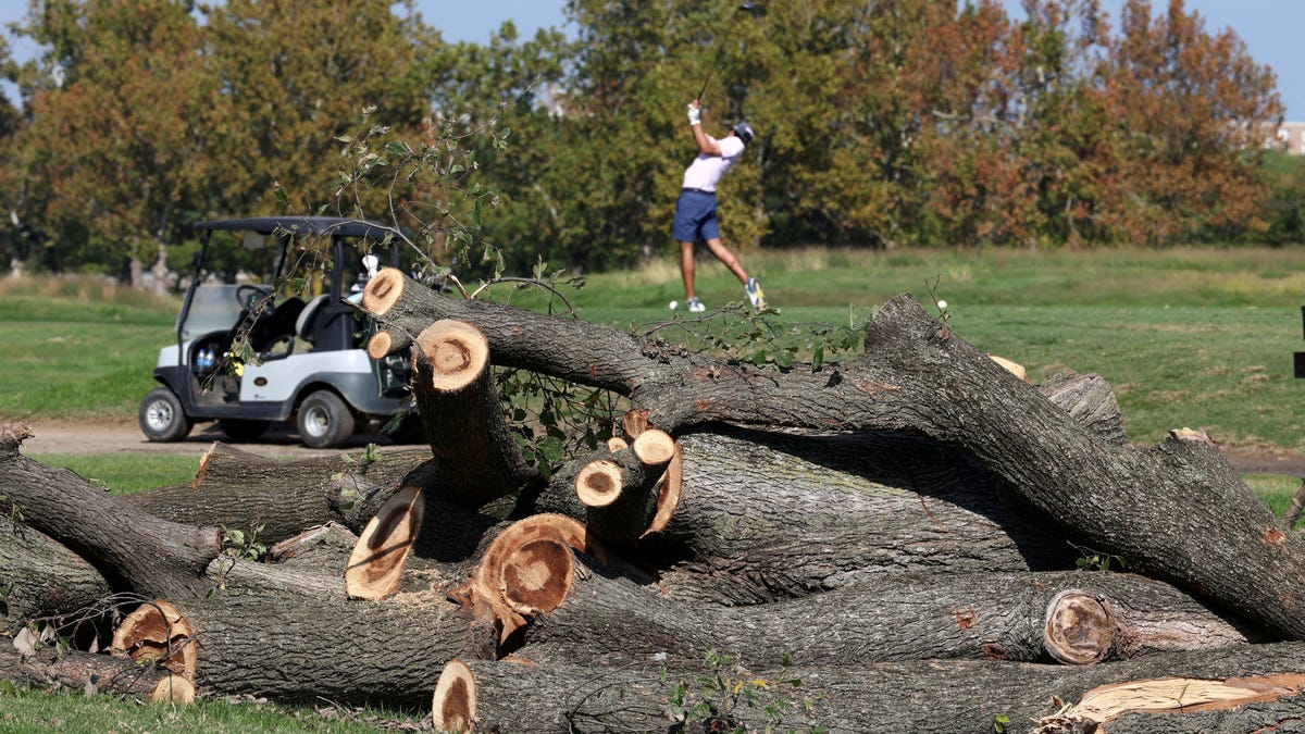 Featured image related to Trump calls judge 'crazed lunatic' as she scrutinizes DC golf overhaul